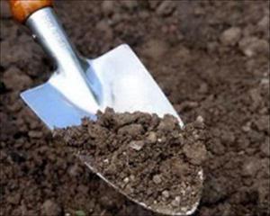 Советы опытных садоводов для подготовки почвы 
