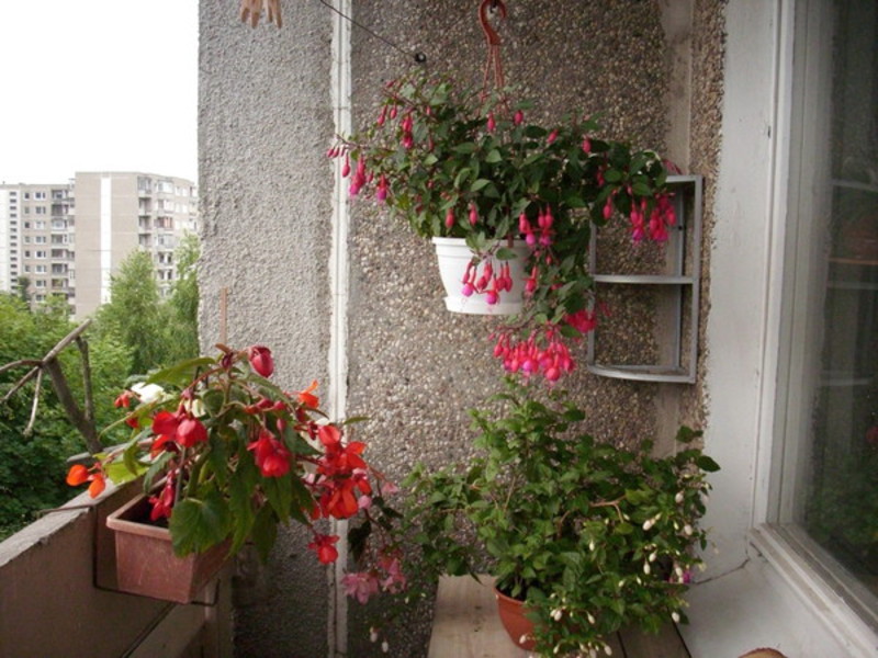 Как создать на балконе сад