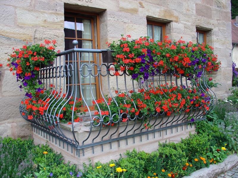 Как создать на балконе сад