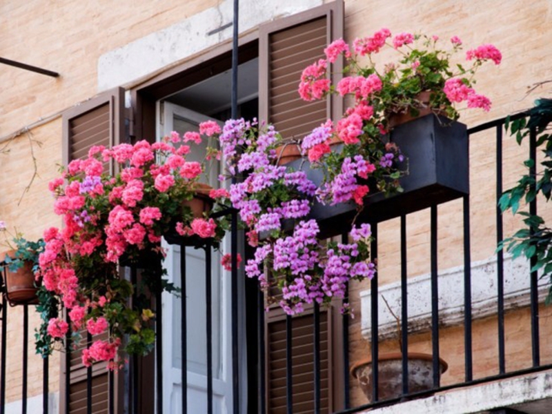 Оформление цветами балкона в доме