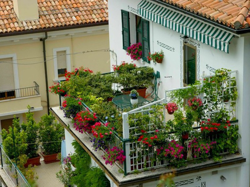 Красивые идеи для оформления цветами балкона