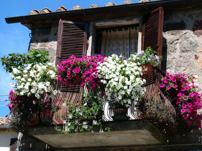 Балкон украшен цветами