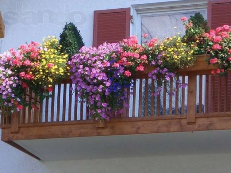 Горшки с цветами для балкона